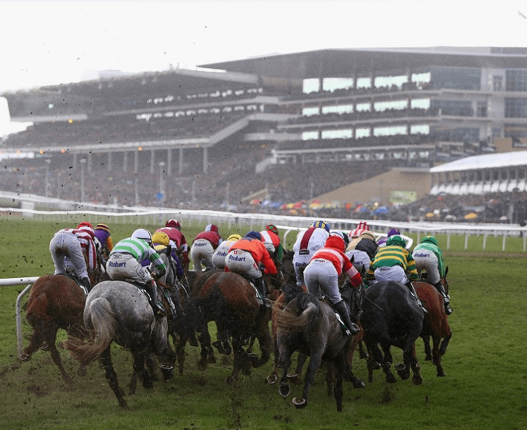 Cheltenham Festival 2022 Underdogs