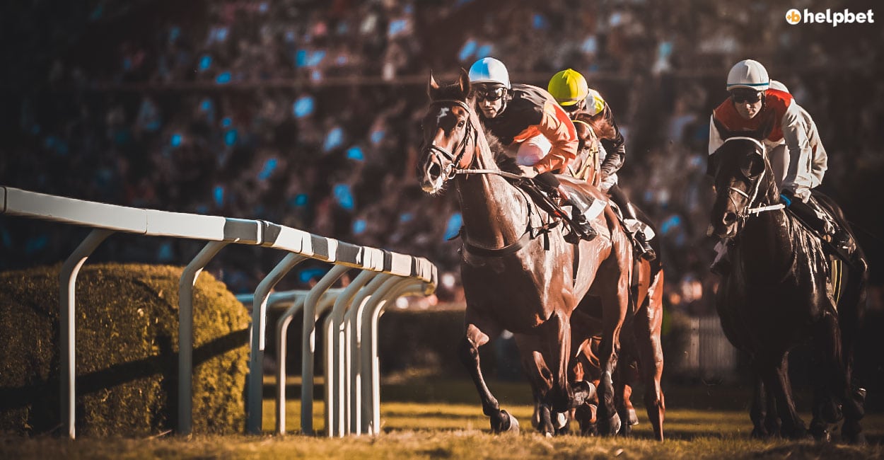 Horse racing betting guide