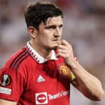 Tottenham find the perfect defensive addition to Harry Maguire